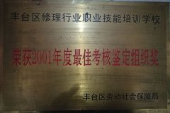 大鸡巴插搔逼视频